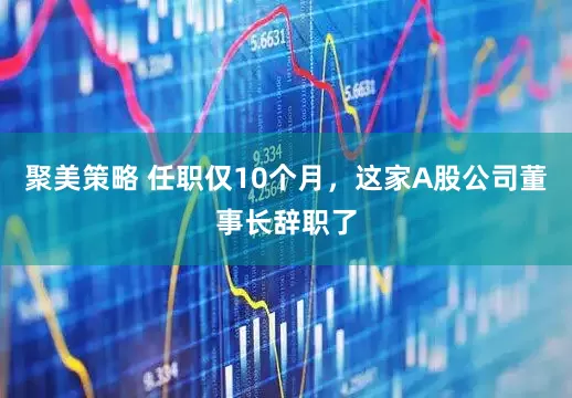 聚美策略 任职仅10个月，这家A股公司董事长辞职了