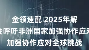 金领速配 2025年解放运动峰会呼吁非洲国家加强协作应对全球挑战