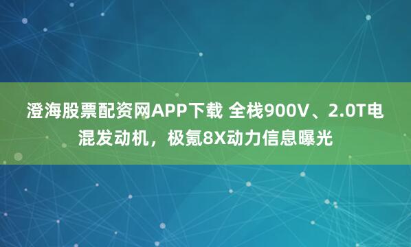 澄海股票配资网APP下载 全栈900V、2.0T电混发动机，极氪8X动力信息曝光