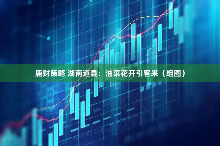 鹿财策略 湖南道县：油菜花开引客来（组图）
