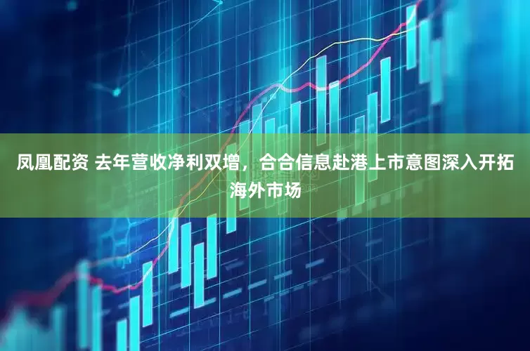 凤凰配资 去年营收净利双增，合合信息赴港上市意图深入开拓海外市场
